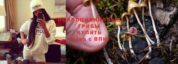 ALPHA PVP Богородицк