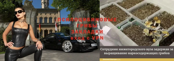 ALPHA PVP Богородицк